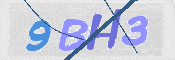 CAPTCHA pildina
